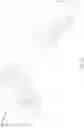 Fig. 27 - Firearm bipod