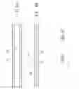 Fig. 09 - Laser lipc stun gun