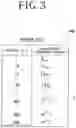 Fig. 04 - Thickness measuring apparatus