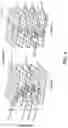 Fig. 04 - Method for the three dimensional measurement of moving objects during a known movement