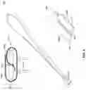Fig. 05 - Device for microscopic sample collection
