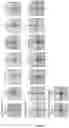 Fig. 03 - Method and reagent for clearing biological tissue