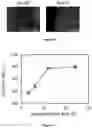 Fig. 08 - Method and reagent for clearing biological tissue