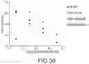 Fig. 17 - Flow cytometry evaluation for virus-size particles with antibody stain having low fluorophore ratio