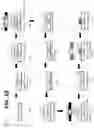 Fig. 11 - M-MIC: Microfluidic Microbiologically Influenced Corrosion Model