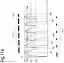 Fig. 22 - Device and method for determining a concentration in a sample