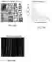 Fig. 20 - Methods for identification of particles in a fluid sample