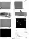 Fig. 31 - Methods for identification of particles in a fluid sample