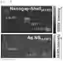 Fig. 12 - Composite particles having nanogap, and preparation method therefor
