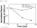 Fig. 13 - Composite particles having nanogap, and preparation method therefor