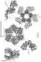 Fig. 04 - Processive enzyme molecular electronic sensors for DNA data storage
