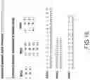 Fig. 27 - Processive enzyme molecular electronic sensors for DNA data storage