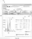 Fig. 06 - PATIENT-BASED RESULTS DISPLAY