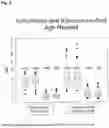 Fig. 03 - IN VITRO METHOD FOR THE DETERMINATION OF NEURODEGENERATIVE DISEASES
