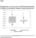 Fig. 05 - IN VITRO METHOD FOR THE DETERMINATION OF NEURODEGENERATIVE DISEASES