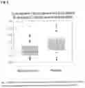 Fig. 06 - IN VITRO METHOD FOR THE DETERMINATION OF NEURODEGENERATIVE DISEASES