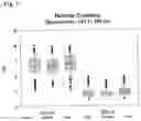 Fig. 08 - IN VITRO METHOD FOR THE DETERMINATION OF NEURODEGENERATIVE DISEASES