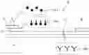 Fig. 01 - SUBSTRATE FOR CHROMATOGRAPHY MEDIUM, CHROMATOGRAPHY MEDIUM, AND IMMUNOCHROMATOGRAPHIC STRIP