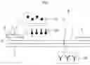 Fig. 03 - SUBSTRATE FOR CHROMATOGRAPHY MEDIUM, CHROMATOGRAPHY MEDIUM, AND IMMUNOCHROMATOGRAPHIC STRIP