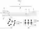 Fig. 04 - SUBSTRATE FOR CHROMATOGRAPHY MEDIUM, CHROMATOGRAPHY MEDIUM, AND IMMUNOCHROMATOGRAPHIC STRIP
