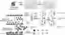 Fig. 01 - HETEROGENEOUS SINGLE CELL PROFILING USING MOLECULAR BARCODING