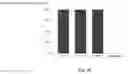 Fig. 05 - Single-molecule protein and peptide sequencing
