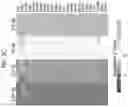 Fig. 09 - MULTIPLEXED PROTEIN ASSAY FOR THE DETECTION OF MITOCHONDRIAL PROTEIN SIGNATURES