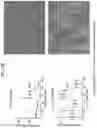 Fig. 12 - MULTIPLEXED PROTEIN ASSAY FOR THE DETECTION OF MITOCHONDRIAL PROTEIN SIGNATURES
