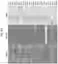 Fig. 22 - MULTIPLEXED PROTEIN ASSAY FOR THE DETECTION OF MITOCHONDRIAL PROTEIN SIGNATURES