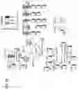 Fig. 23 - MULTIPLEXED PROTEIN ASSAY FOR THE DETECTION OF MITOCHONDRIAL PROTEIN SIGNATURES