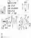 Fig. 32 - MULTIPLEXED PROTEIN ASSAY FOR THE DETECTION OF MITOCHONDRIAL PROTEIN SIGNATURES