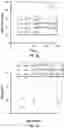Fig. 03 - Biomarkers of organic acidemias