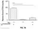 Fig. 09 - Biomarkers of organic acidemias
