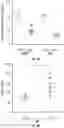 Fig. 11 - Biomarkers of organic acidemias