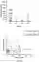 Fig. 19 - Biomarkers of organic acidemias