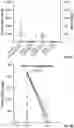Fig. 22 - Biomarkers of organic acidemias