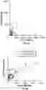 Fig. 23 - Biomarkers of organic acidemias