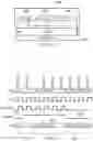 Fig. 06 - Test compression in a JTAG daisy-chain environment