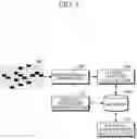 Fig. 08 - Radar apparatus and radar signal processing method of selecting and processing virtual antennas with indexed range and doppler matrices