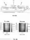 Fig. 12 - Light projecting method and device