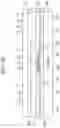 Fig. 07 - Population of quantum dots and a composition including ihe same