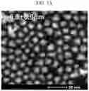 Fig. 09 - Population of quantum dots and a composition including ihe same