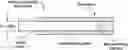 Fig. 01 - Diverging light from fiber optics illumination delivery system