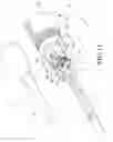 Fig. 12 - Optical fiber connector having a covered positioning member