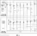 Fig. 05 - Real-time focusing in line scan imaging