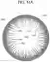 Fig. 09 - CONTACT LENS WITH IMPROVED, MULTIPLE AND INTEGRATED EFFECTS