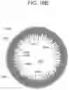 Fig. 18 - CONTACT LENS WITH IMPROVED, MULTIPLE AND INTEGRATED EFFECTS