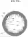 Fig. 22 - CONTACT LENS WITH IMPROVED, MULTIPLE AND INTEGRATED EFFECTS
