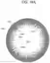 Fig. 25 - CONTACT LENS WITH IMPROVED, MULTIPLE AND INTEGRATED EFFECTS