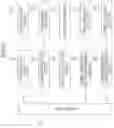 Fig. 14 - Input device